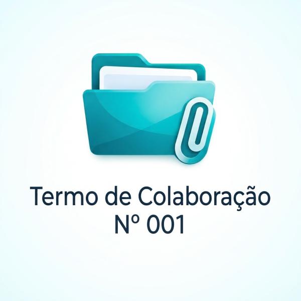 Termo de colaboração Nº 001