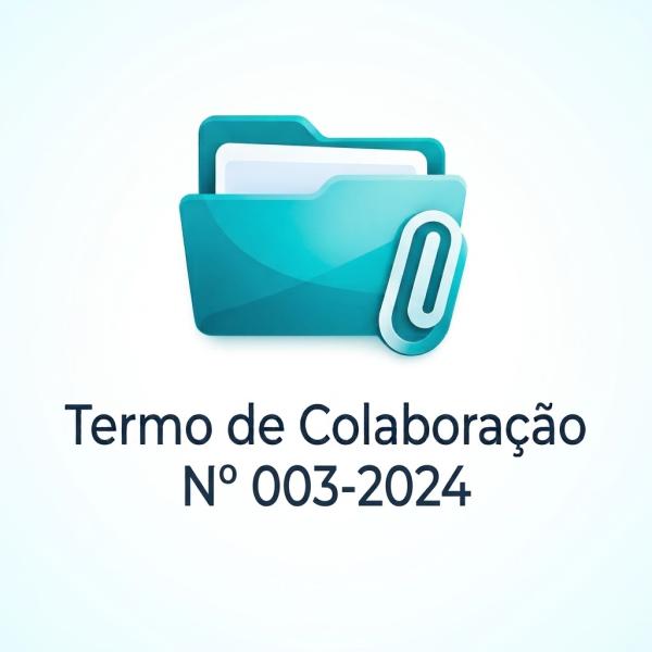 Termo de Colaboração Nº 003-2024 (1)