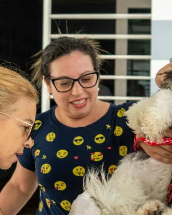 Prefeitura de Camaragibe realiza megamutirão de castração gratuita para cerca de 3 mil cães e gatos